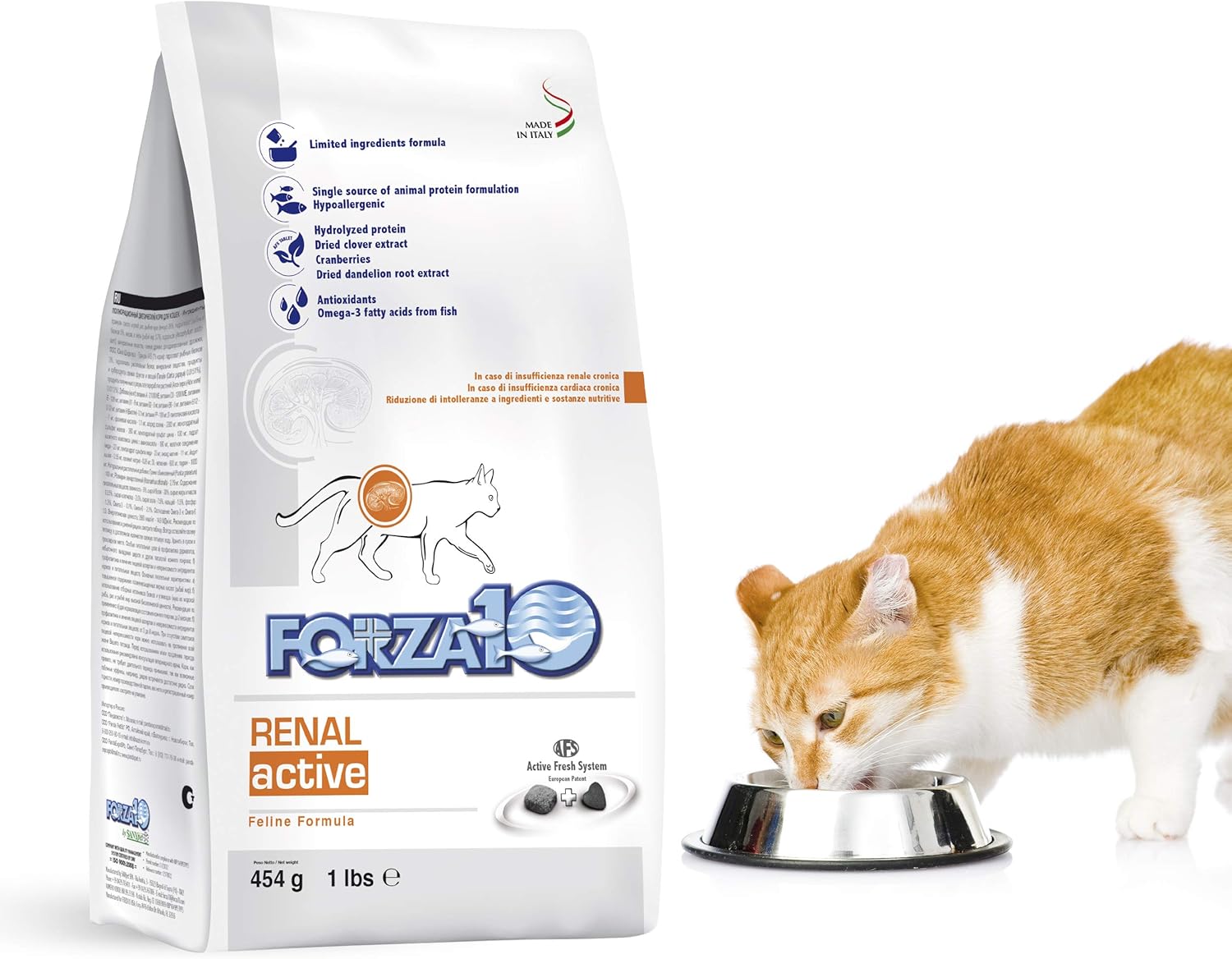 Forza10 Active Kidney Renal Diet Dry Cat Food For Adult Cats, Kidney Care Cat Food For Heart And Kidney Problems, Wild Caught Anchovy Flavor, 1 Pound Bag