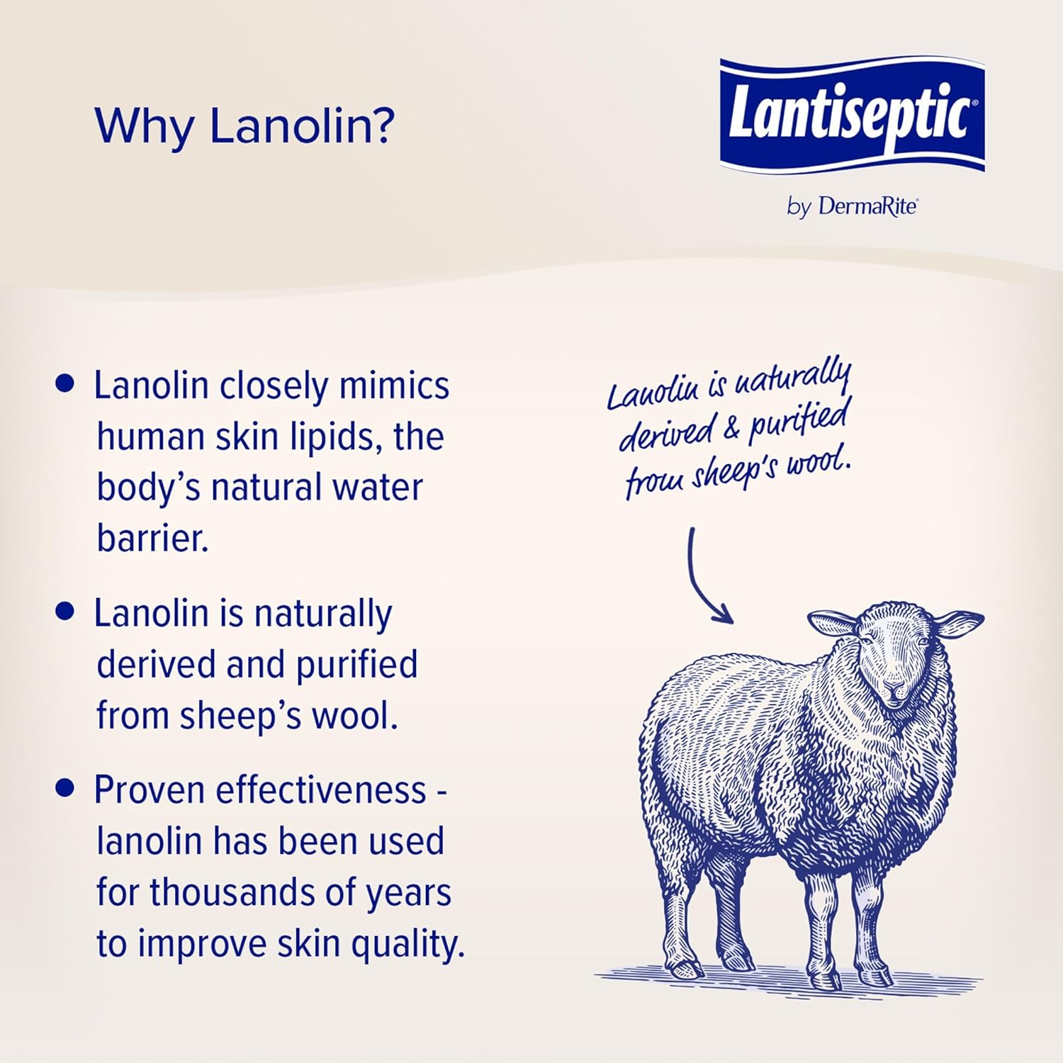 Dermarite'S Lantiseptic Dry Skin Therapy Skin Protectant - Scented Moisturizing Cream, Enriched With 30% Lanolin - 4 Oz. Tube, 12 Count : Industrial & Scientific