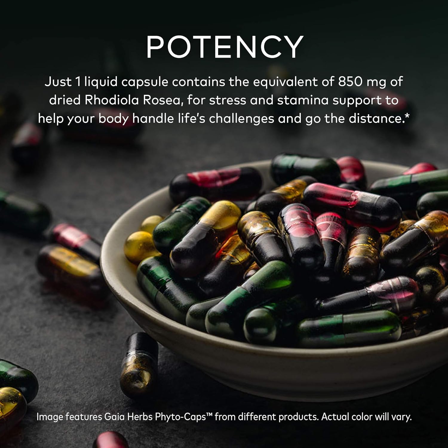 Gaia Herbs, Rhodiola Rosea Vegan Liq Phyto Capsules - Stress Support Supplement, Adaptogenic Herb, 120-Count (Pack of 1)