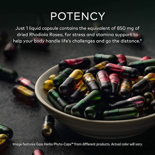 Gaia Herbs, Rhodiola Rosea Vegan Liq Phyto Capsules - Stress Support Supplement, Adaptogenic Herb, 120-Count (Pack of 1)