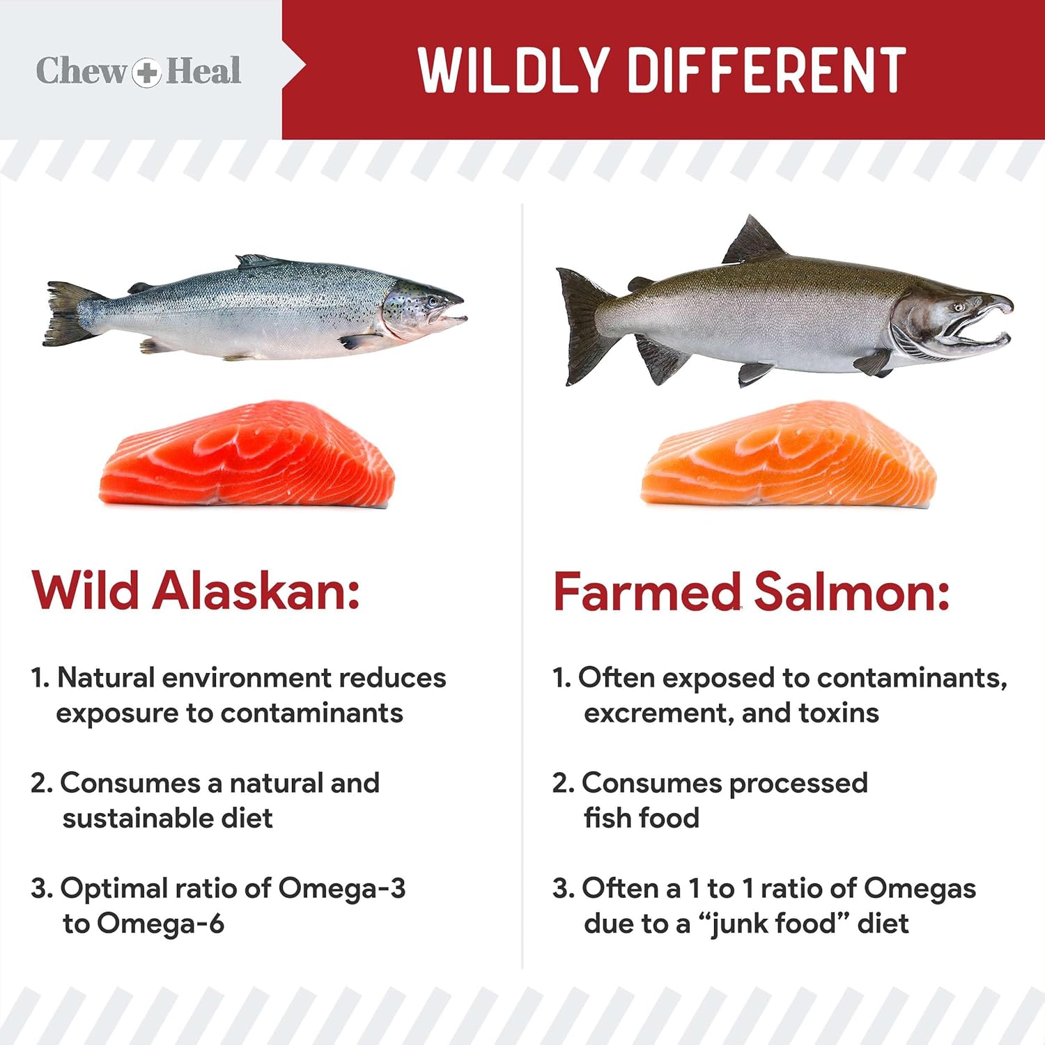 Pure Wild Alaskan Salmon Oil for Dogs - 16 oz. Beef Flavored Salmon Oil - Pump Cap Bottle - Contains Omega-3 and 6, EPA, and DHA for Healthy Skin and Coat - Toxin Free : Pet Supplies