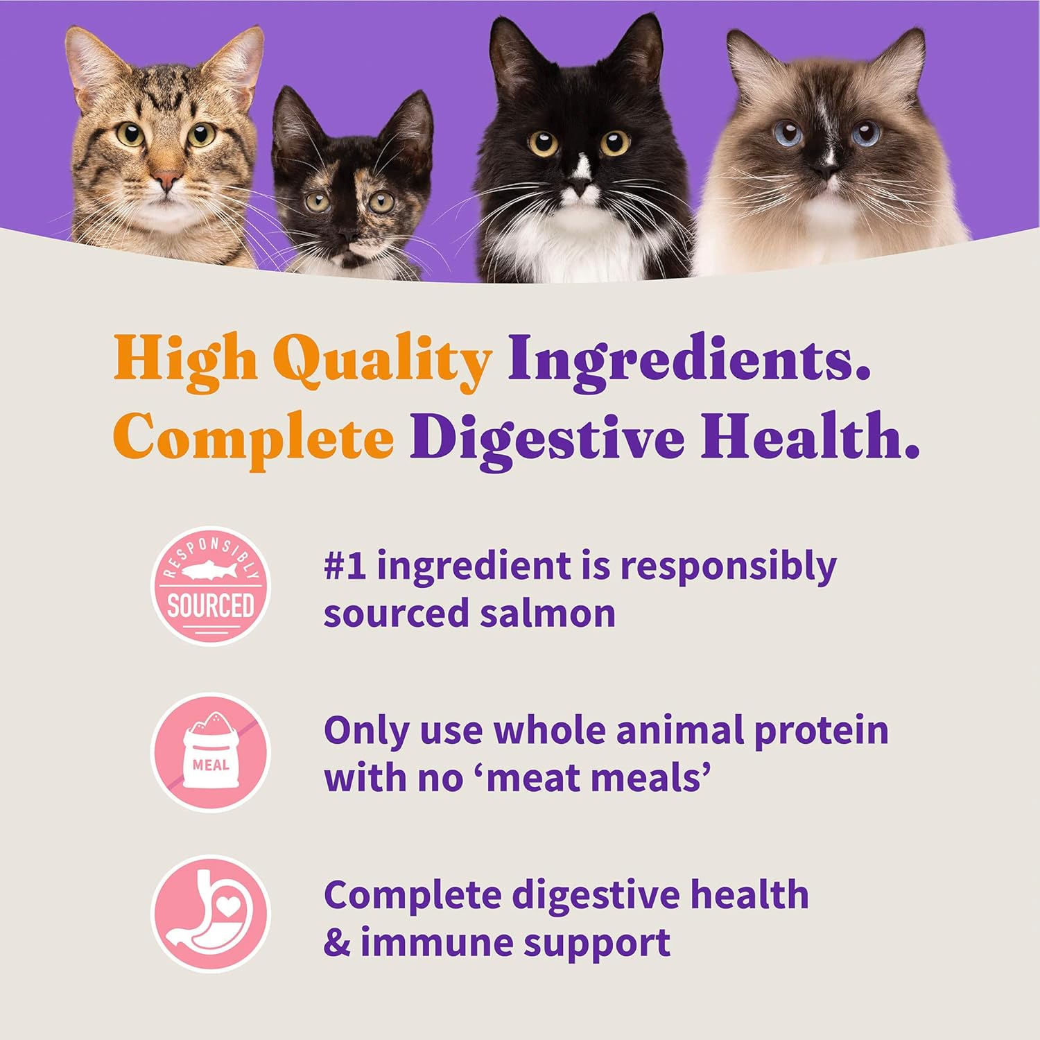 Halo Holistic Cat Food Dry, Wild-caught Salmon and Whitefish Recipe, Complete Digestive Health, Dry Cat Food Bag, Adult Formula, 10-lb Bag : Pet Supplies