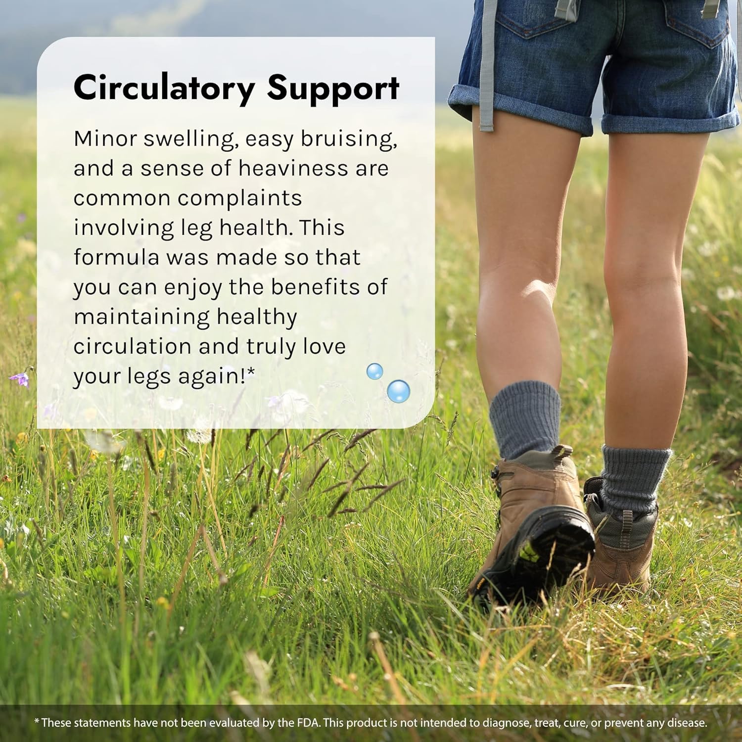 Irwin Naturals Love My Legs - 60 Liquid Soft-Gels, Pack of 2 - Supports Health of Leg Veins, Capillaries & Circulation - 40 Total Servings : Health & Household