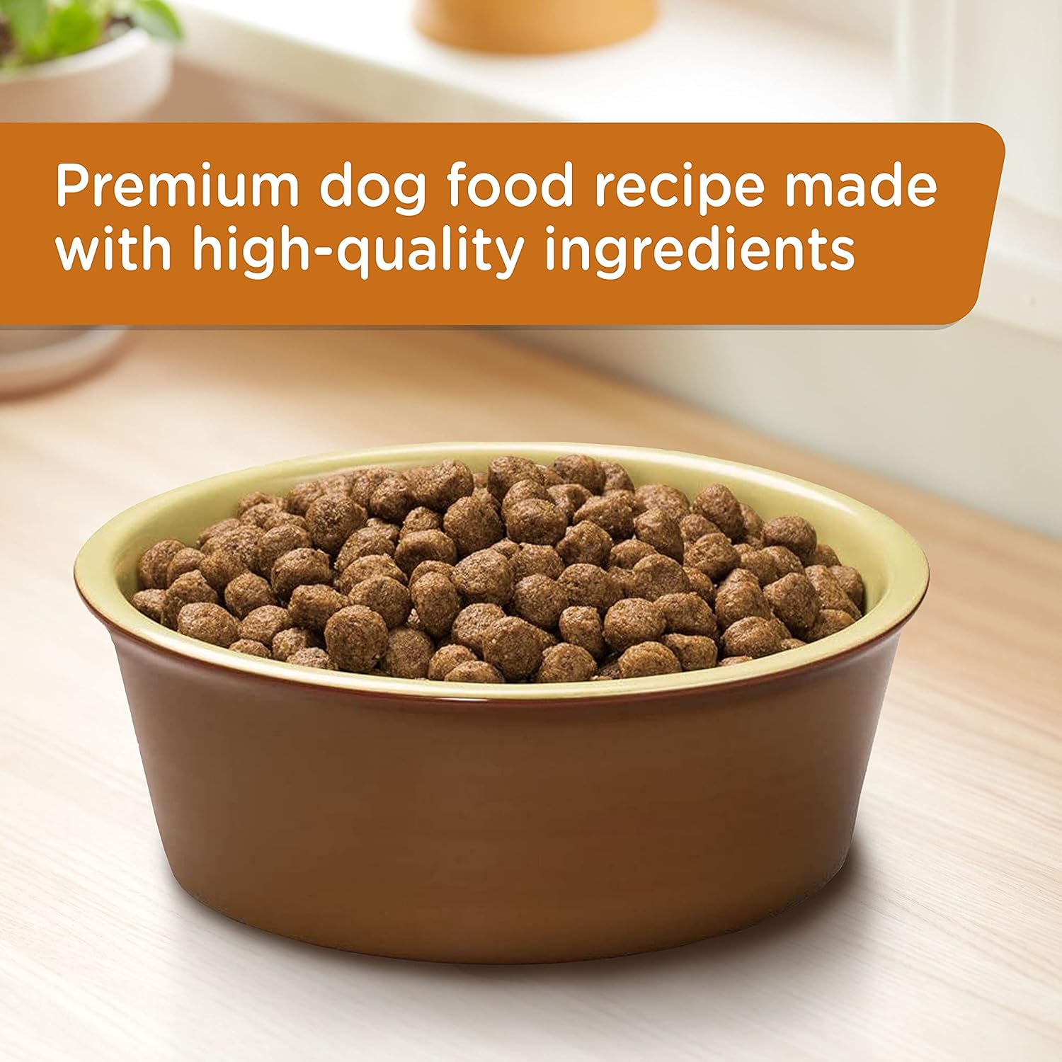 Rachael Ray Nutrish Dry Dog Food, Turkey, Brown Rice & Venison Recipe for Weight Management, 26 Pounds : Bras : Pet Supplies