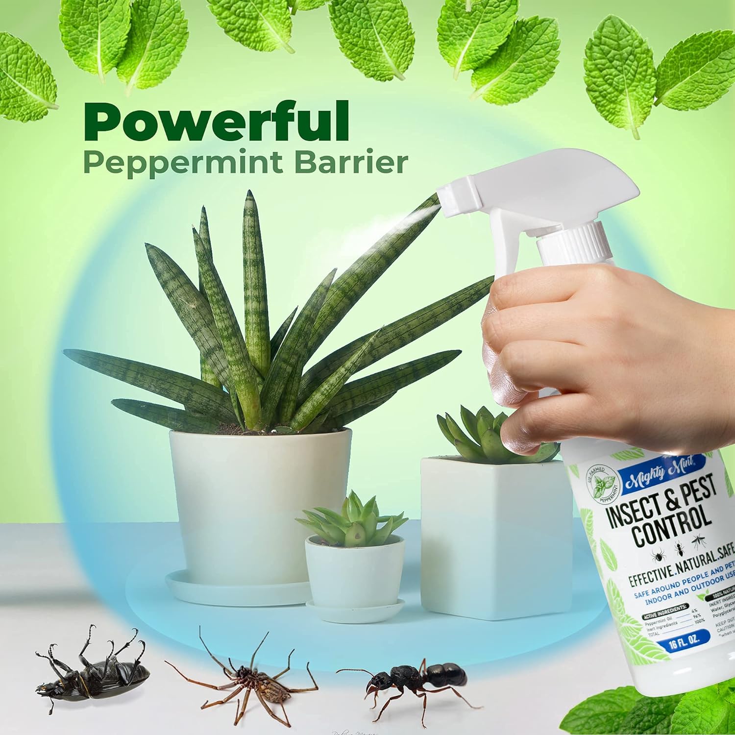 Mighty Mint Insect & Pest Control Peppermint Concentrate 8 Oz - Makes 1 Gallon - Plant-Based Formula Kills And Prevents Spiders, Ants, Flying Insects, And More