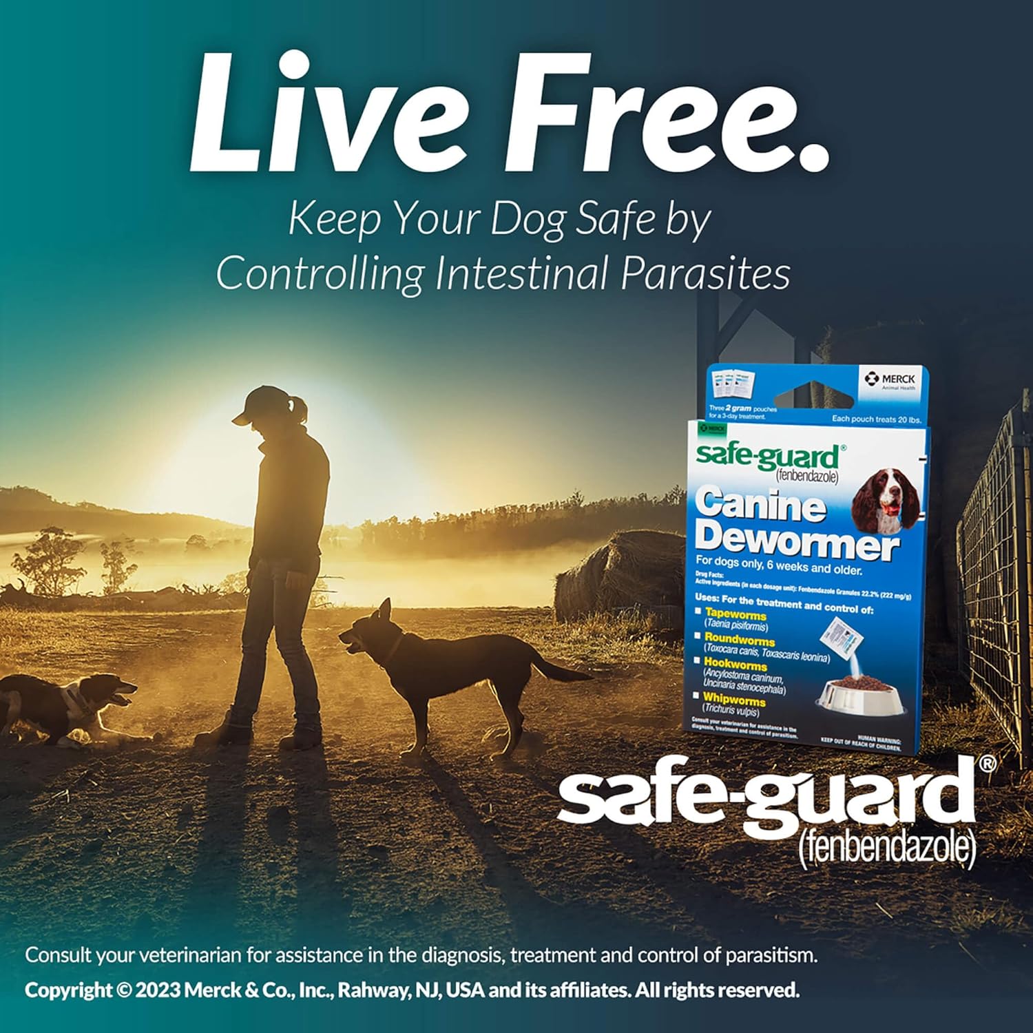 Pro-Sense Safe-Guard 4, Canine Dewormer For Dogs, 3-Day Treatment : Pet Wormers : Pet Supplies