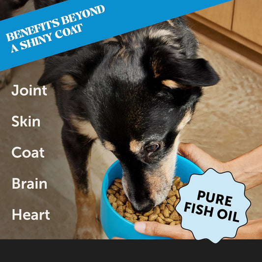 Pet Honesty Wild Alaskan Salmon Oil, Omega-3 Fish Oil For Dogs And Cats, Fatty Acids, Salmon Oil For Dogs, Skin And Coat Health, Pure Dog Food Topper, Supports Joints, Brain & Heart Health - 16 Oz