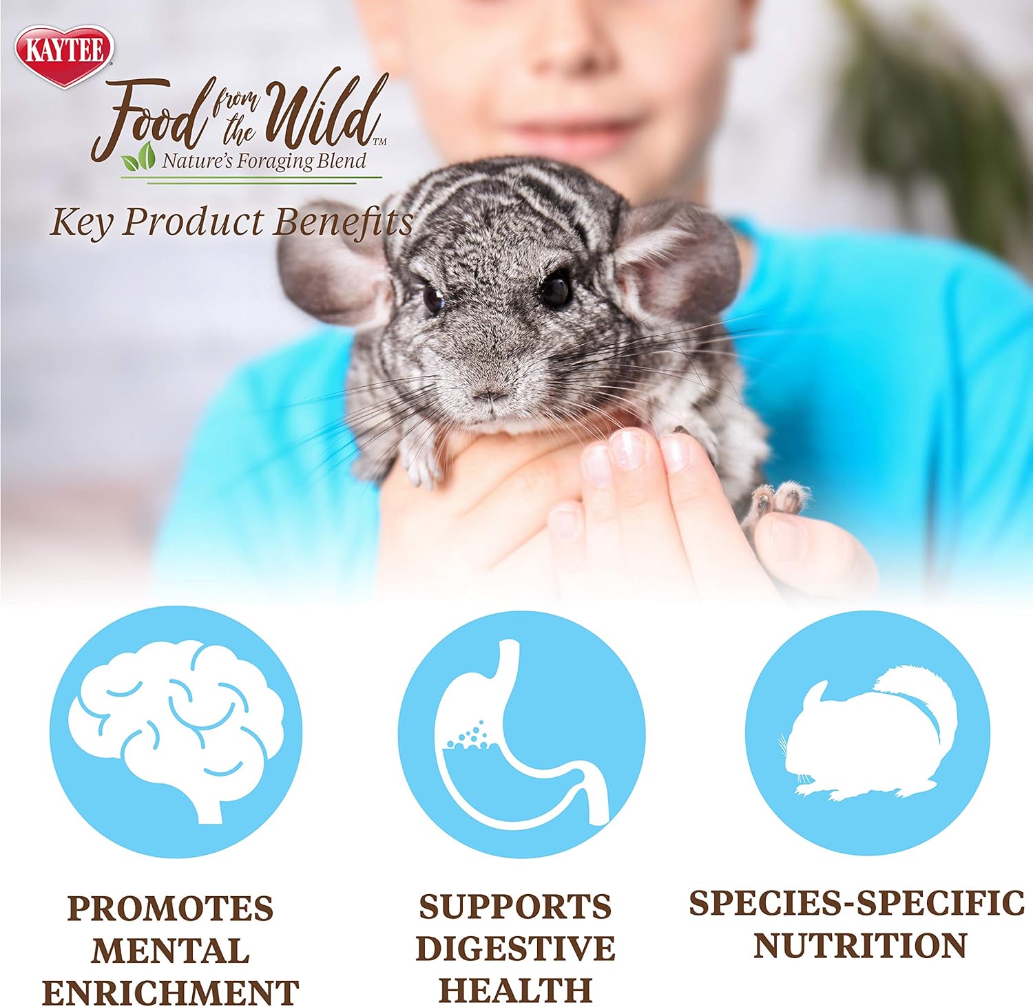 Food From the Wild Chinchilla : Pet Supplies