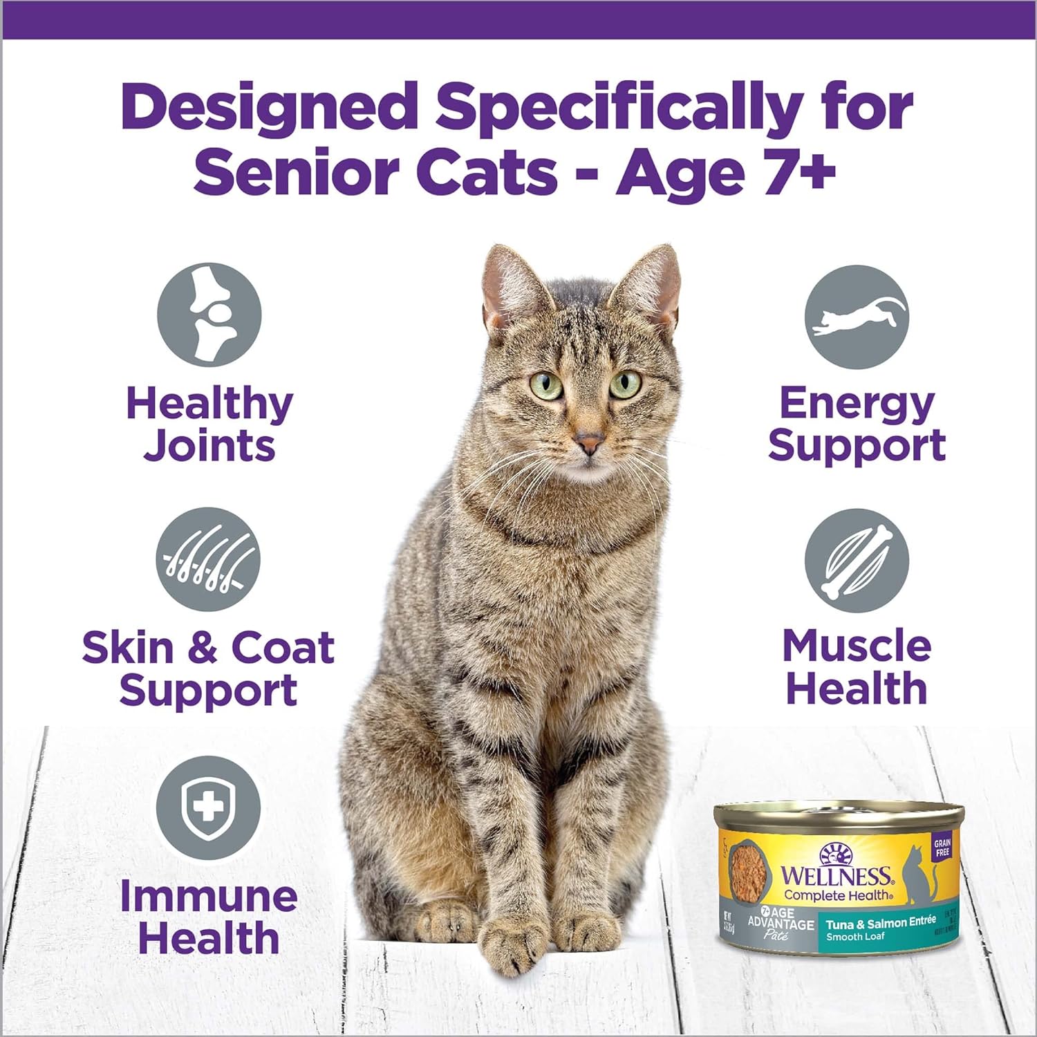 Wellness Complete Health Grain-Free Wet Canned Senior Cat Food, Natural Ingredients, Made with Real Meat, All Breeds, Smooth Pate (Senior, Tuna & Salmon, 3-Ounce Can, Pack of 24)