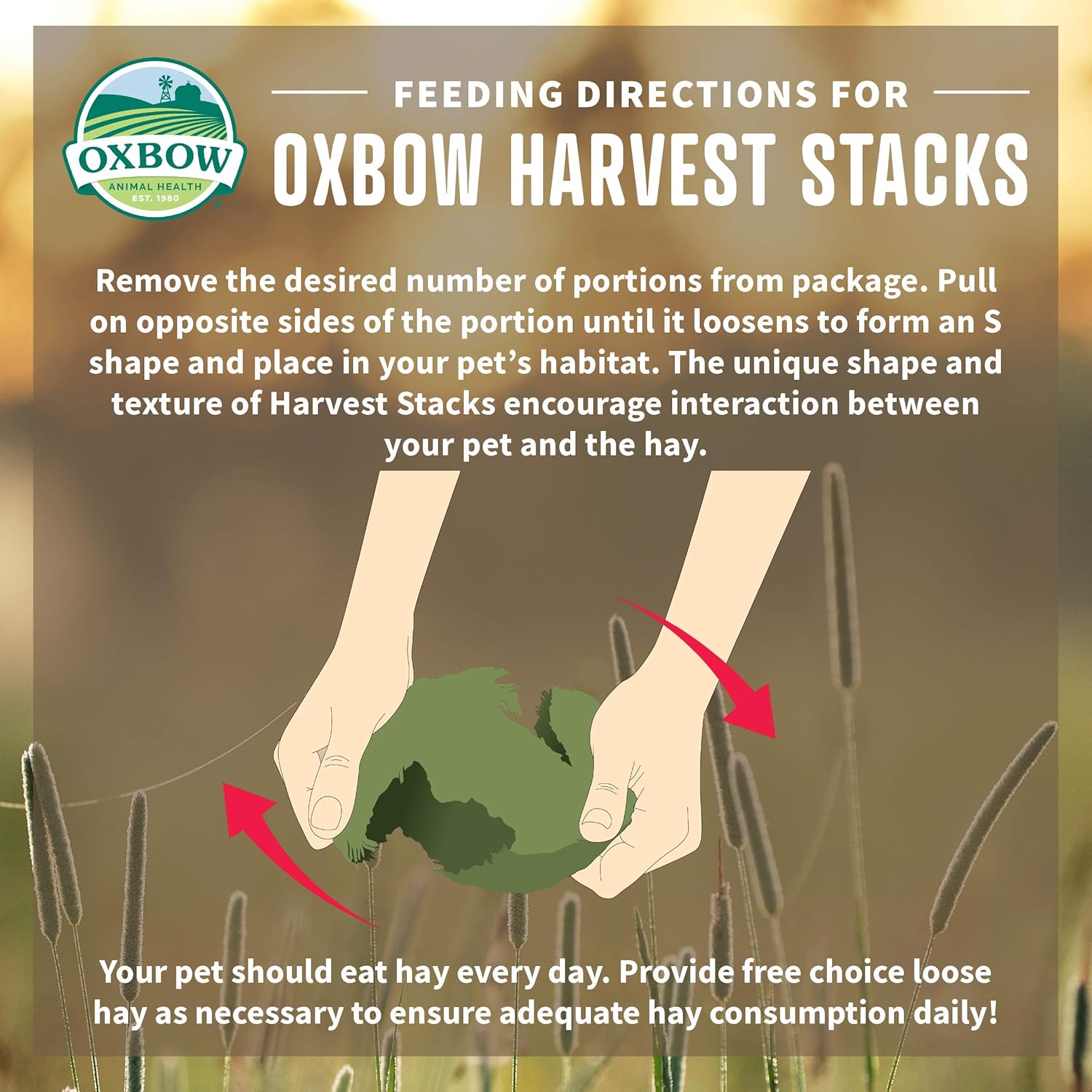 Oxbow Animal Health Harvest Hay Stacks - Western Timothy Hay with Chamomile - All Natural Hay for Rabbits, Guinea Pigs, Chinchillas, Hamsters & Gerbils - 35 oz. : Pet Care Products : Pet Supplies