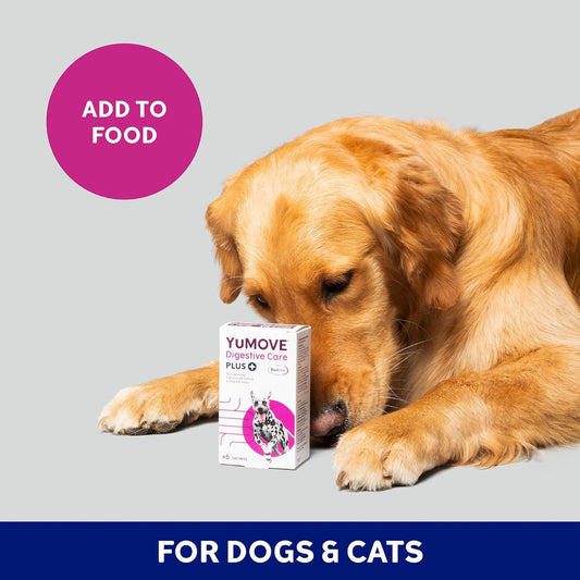 YuMOVE Digestive Care PLUS | Previously YuDIGEST PLUS | Veterinary Strength Fast-acting Probiotic Digestive Support for Dogs and Cats , All Ages and Breeds | 6 Sachets?YUDP6