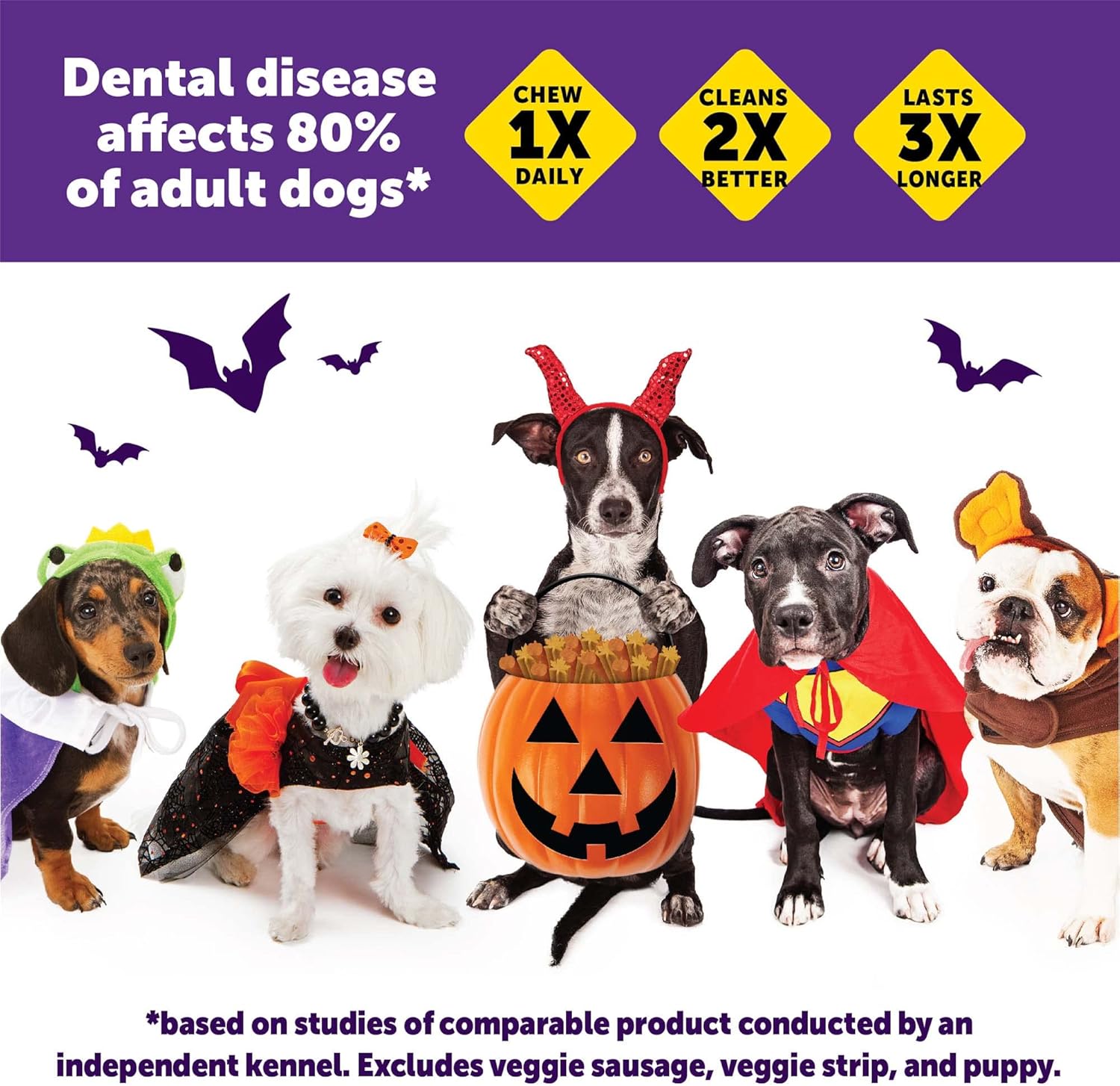 Whimzees by Wellness Halloween Natural Dental Chews for Dogs, Long Lasting Treats, Grain-Free, Freshens Breath, Medium Breed, 6 Count : Pet Supplies