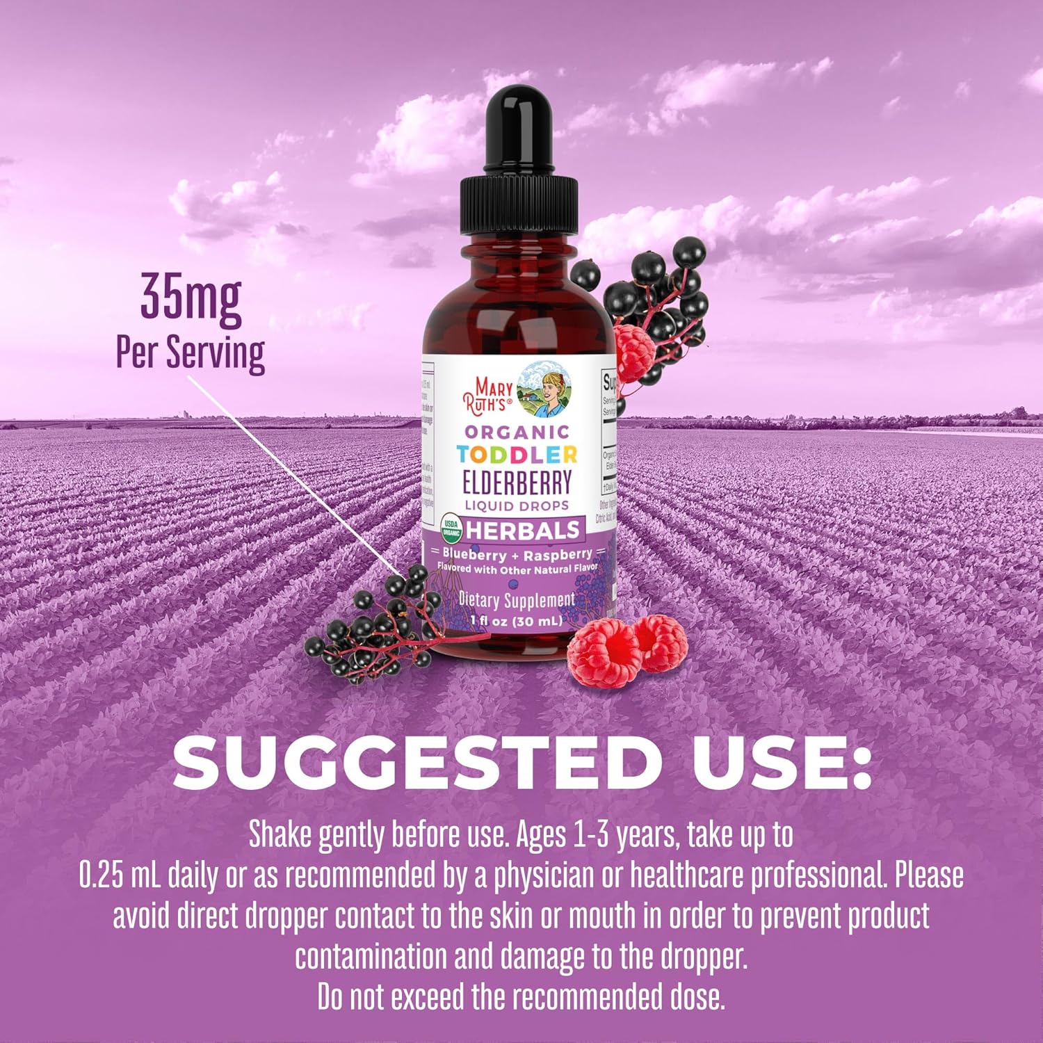 MaryRuth Organics Toddler Elderberry Syrup, USDA Organic Elderberry, Sugar Free Kids Immune Support Supplement for Ages 1-3 Years, Clean Label Project Verified®, Vegan, Non-GMO, Gluten Free, 1 Fl Oz : Health & Household