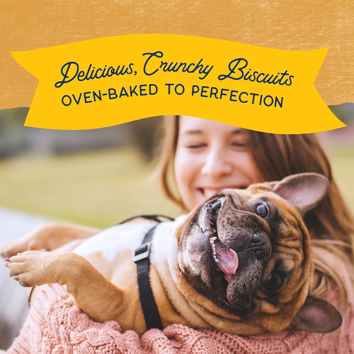 Natural Balance Limited Ingredient Rewards Crunchy Biscuits, Grain-Free Dog Treats for Adult Dogs of All Breeds, Duck Recipe, 14 Ounce (Pack of 1) : Pet Supplies