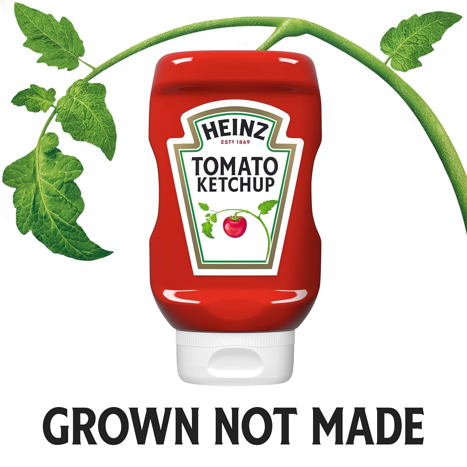 Heinz Tomato Ketchup (14 Oz Bottle)