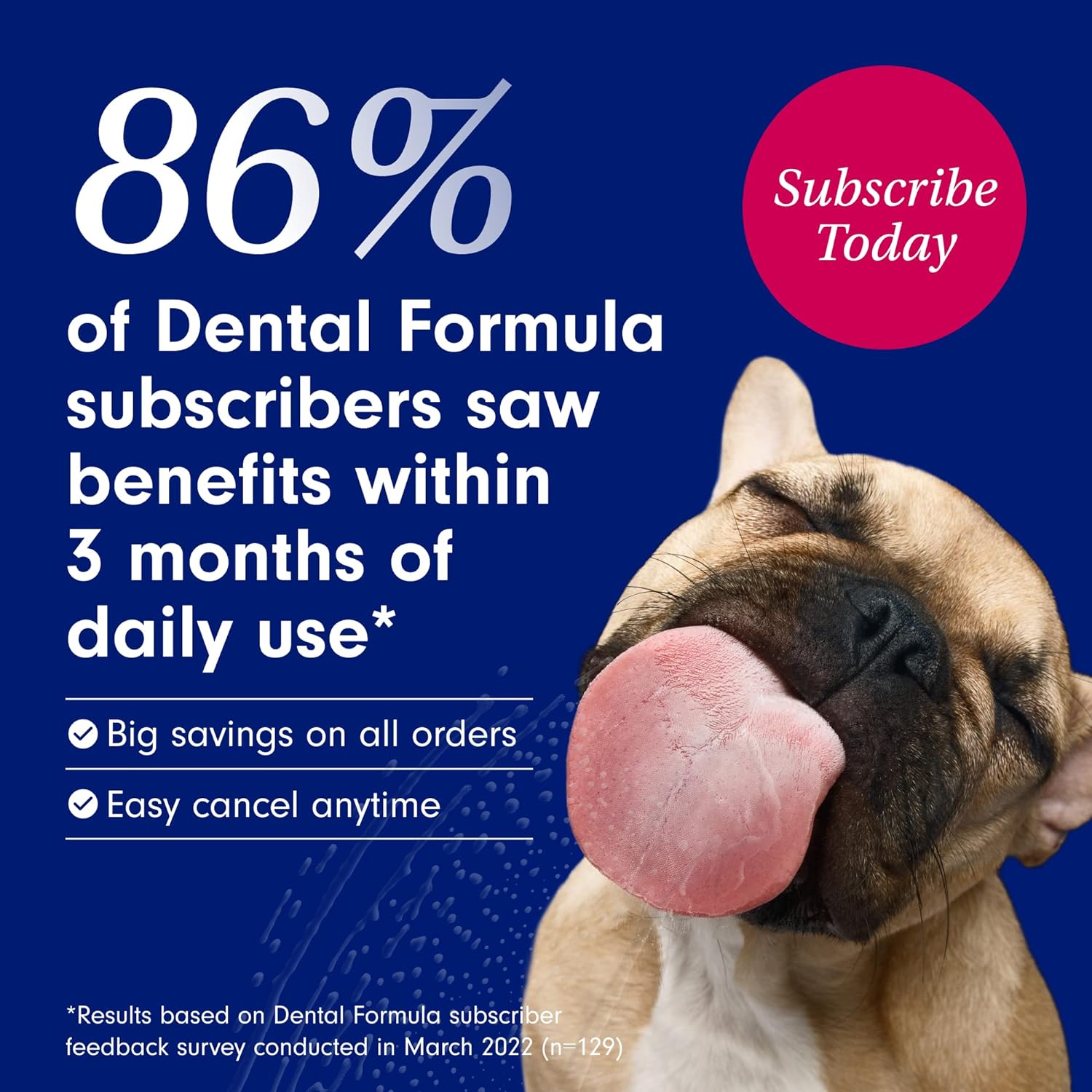 Petlab Co. Dog Dental Formula - Keep Dog Breath Fresh and Teeth Clean - Supports Gum Health - Water Additive Dental Care Targets Tartar - Packaging May Vary : Pet Supplies