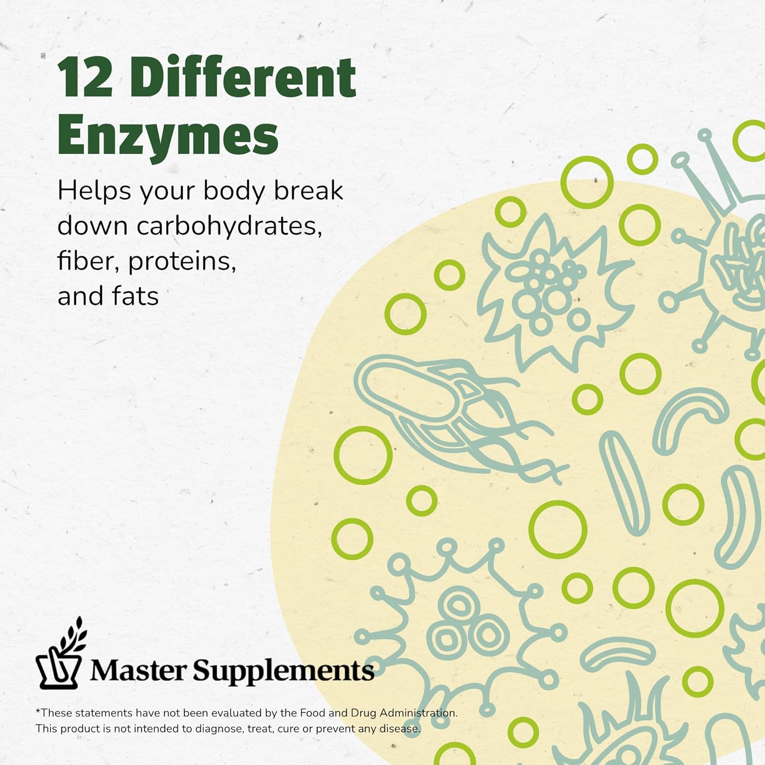Master Supplements Enzalase - 50 Capsules - Probiotic Compatible Enzymes - Provides Digestive Boost + Gas & Bloating Relief - Gluten Free - 50 Servings