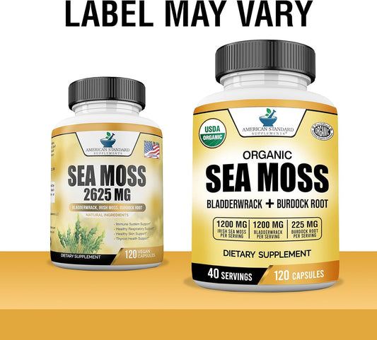 American Standard Supplements Organic Sea Moss, Bladderwrack & Burdock Root Capsules - 1200Mg Sea Moss, 1200Mg Bladderwrack, 225Mg Burdock Root Per Serving - 120 Capsules, 40 Servings