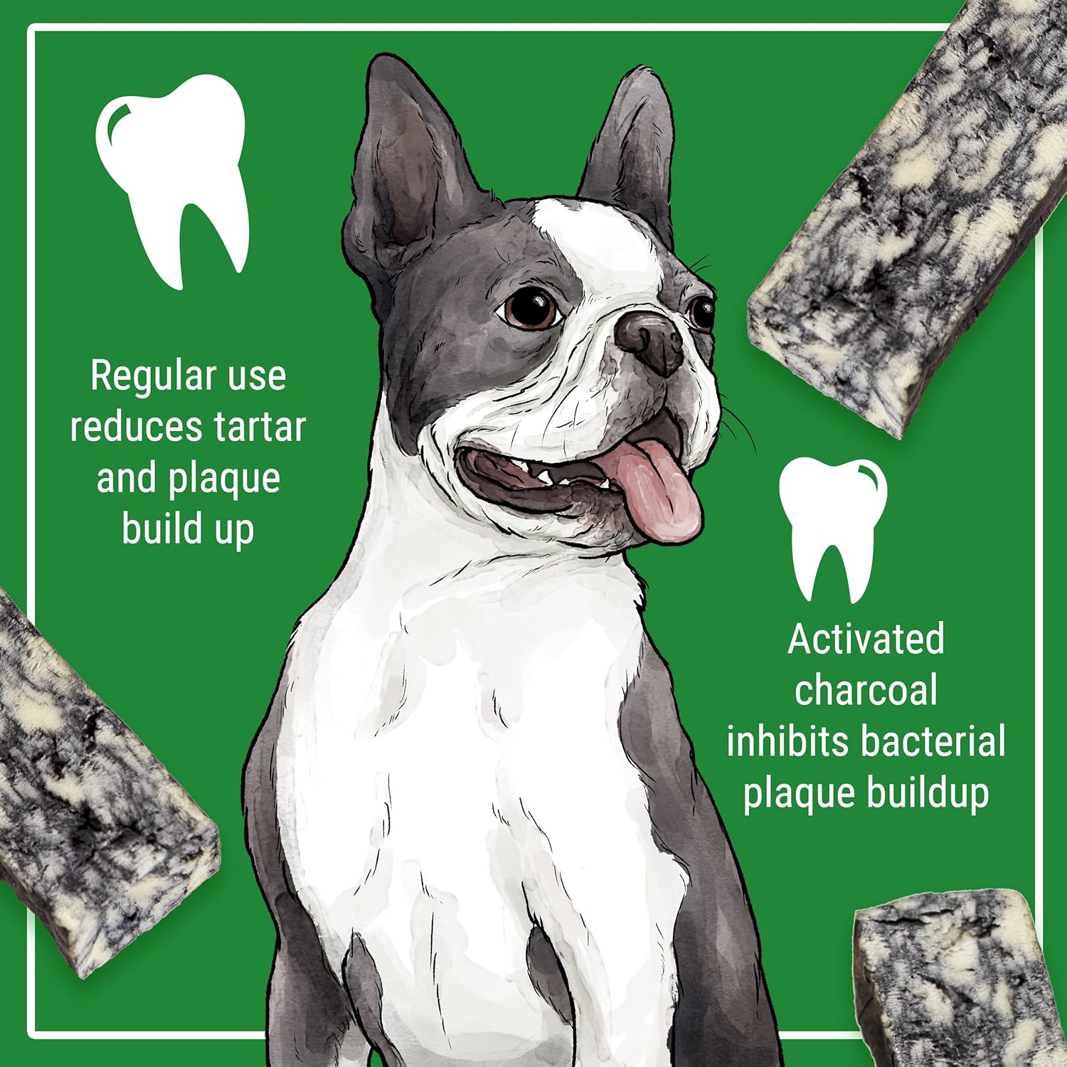 Himalayan Charcoal Cheese Chews | Dental Cleaning - Stain Free - Protein Rich - Tartar Fighting | No Lactose - No Gluten - No Grains - No Soy | CHEESE-CHAR | Medium | for Dogs 35 Lbs & Smaller : Pet Supplies