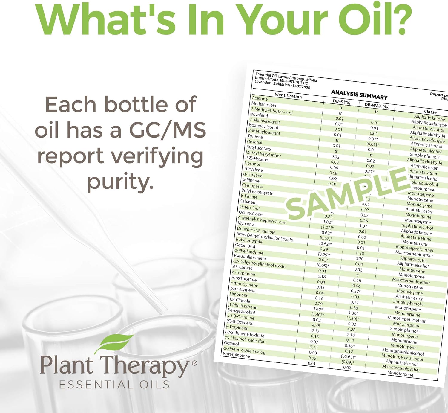 Plant Therapy Self-Care Essential Oil Blend 10 mL (1/3 oz) 100% Pure, Undiluted, Natural Aromatherapy : Plant Therapy: Health & Household