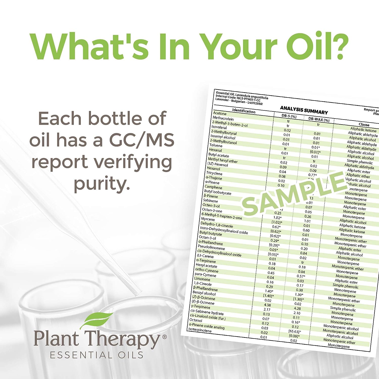 Plant Therapy Zit Fighter Essential Oil Blend Pre-Diluted Roll-On 10 mL (1/3 oz) 100% Pure, Therapeutic Grade : Health & Household