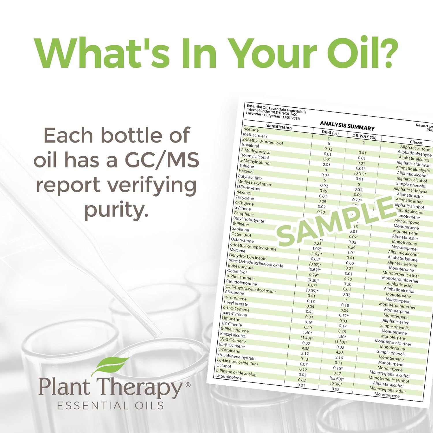 Plant Therapy Sandalwood Indian Essential Oil 2.5 mL (1/12 oz) 100% Pure, Undiluted, Therapeutic Grade : Health & Household