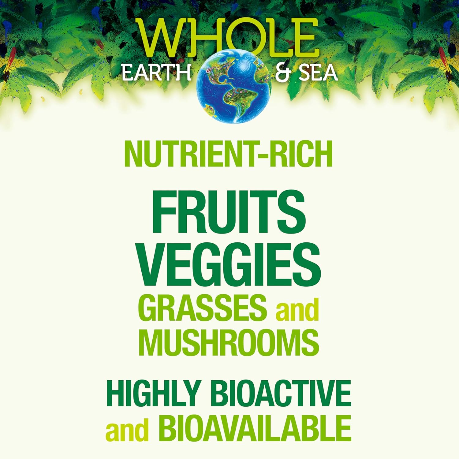 Whole Earth & Sea from Natural Factors, Organic Fermented Greens, Vegan Whole Food Supplement, Unflavored, 13.8 Oz : Health & Household