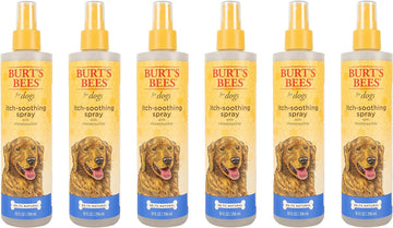 Burt's Bees for Pets Itch Soothing Spray with Honeysuckle | Best Anti-Itch Spray for Dogs With Itchy Skin | Cruelty Free, Sulfate & Paraben Free, pH Balanced for Dogs - Made in the USA, 10 Oz -6 Pack