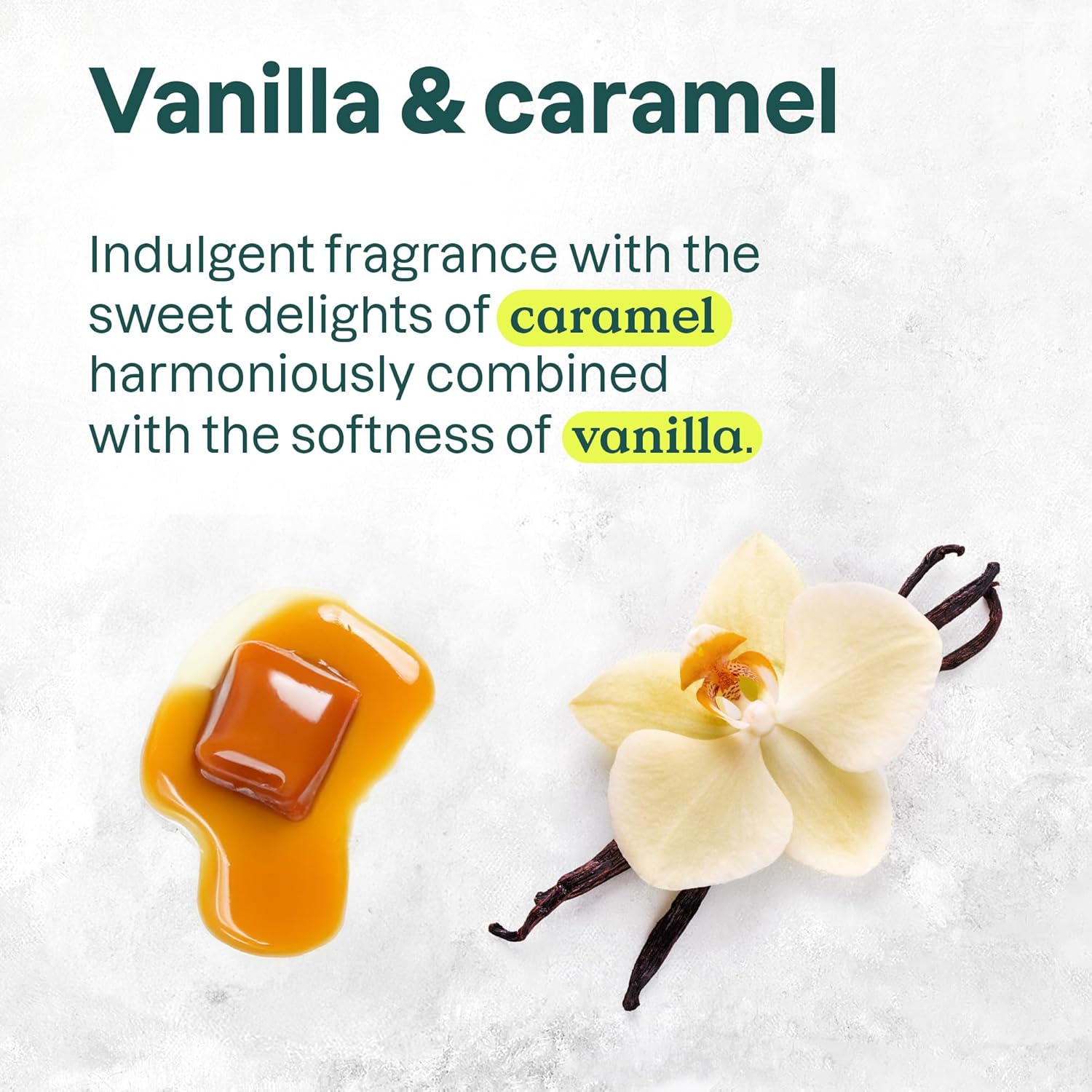 Attitude Liquid Hand Soap, Ewg Verified, Plant And Mineral-Based, Vegan Personal Care Products, Vanilla Caramel, 16 Fl Oz : Beauty & Personal Care