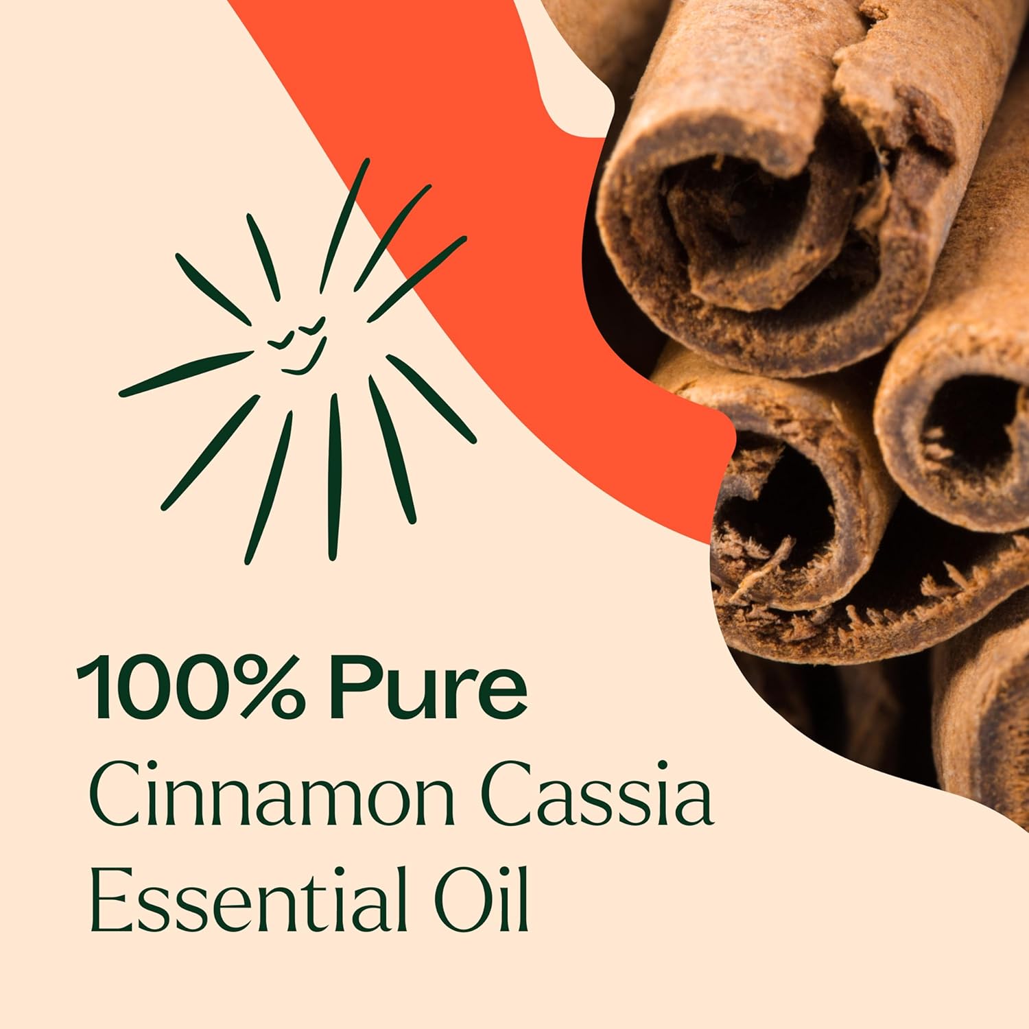 Plant Therapy Cinnamon Cassia Essential Oil 10 mL (1/3 oz) 100% Pure, Undiluted, Therapeutic Grade : Health & Household
