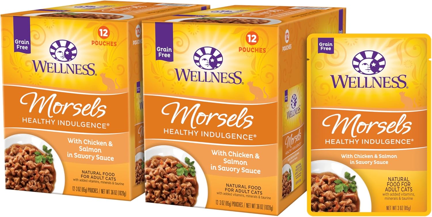 Wellness Healthy Indulgence Morsels Grain-Free Wet Cat Food, Made With Natural Ingredients, Quality Proteins, Complete And Balanced Meal, 3 Oz Pouches (Chicken & Salmon, 24 Pack)