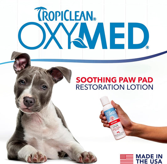 TropiClean OxyMed Medicated Dog Lotion for Paw Pads, Nose, & Elbows - Balm Moisturiser with Soothing Shea Butter, Vitamin A & E, and Revitalising Jojoba Oil - Lotion, 118ml?OXPPLT4Z