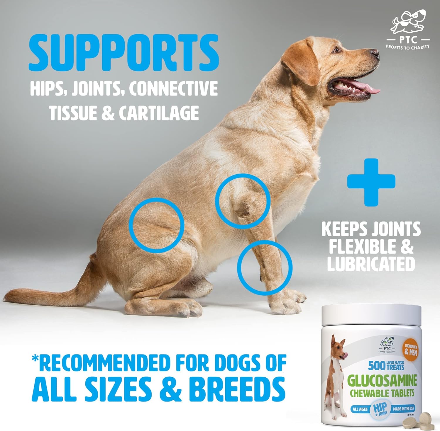 Glucosamine for Dogs with Chondroitin and MSM - Hip and Joint Supplement for Dog Mobility Support and Arthritis Pain Relief - 500 Chewable Tablet Treats by PTC - Profits to Charity : Pet Supplies