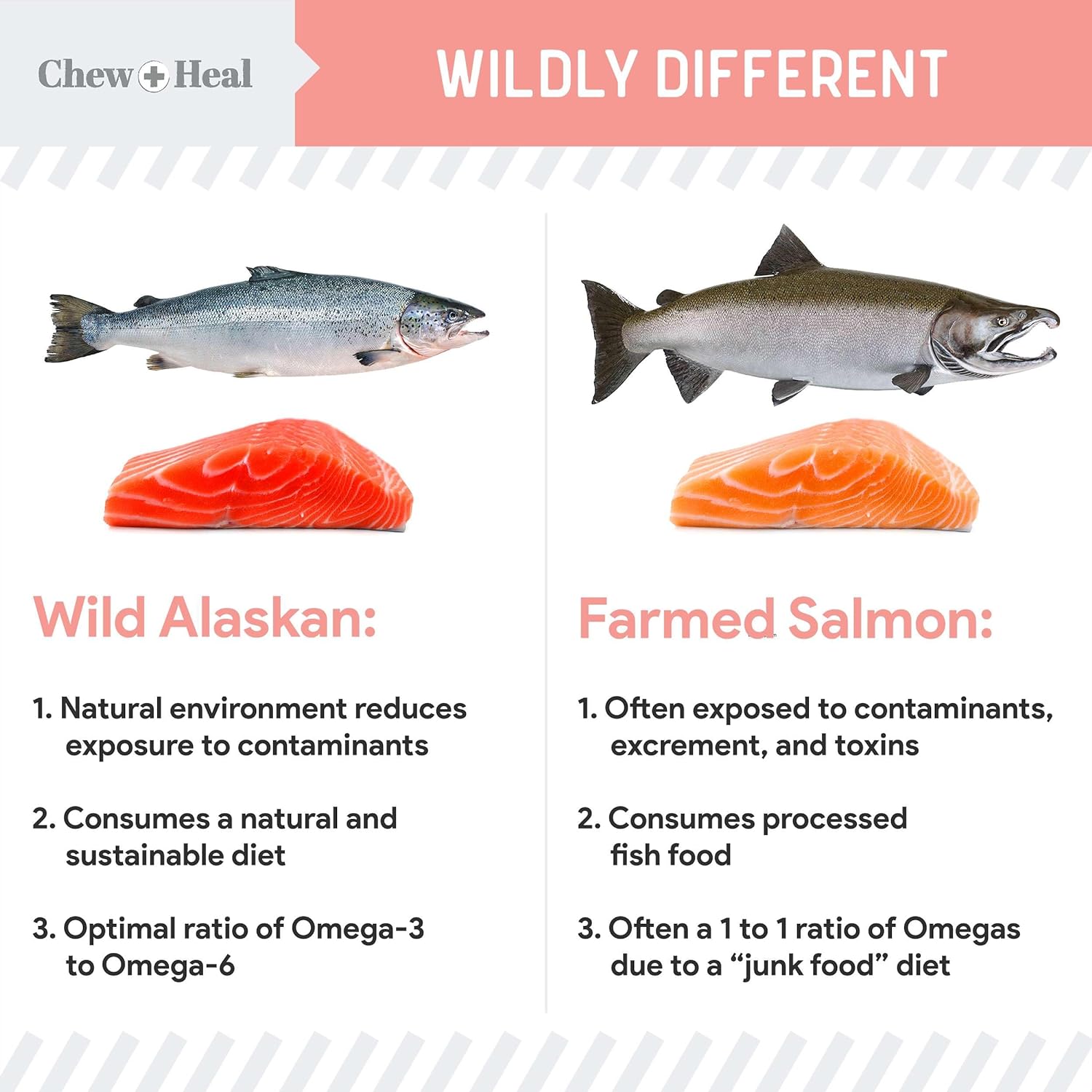 Pure Wild Alaskan Salmon Oil for Dogs - 32 oz. - Pump Cap Bottle - Contains Omega-3 and 6, Vitamin D, EPA, and DHA for Healthy Skin and Coat - Toxin Free : Pet Supplies