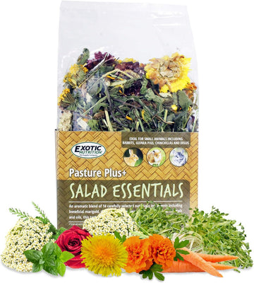 Pasture Plus+ Salad Essentials - Healthy Natural High-Fiber Dried Flower & Herb Treat - Squirrels, Guinea Pigs, Rabbits, Chinchillas, Prairie Dogs, Degus, Hamsters, Gerbils & Other Small Pets