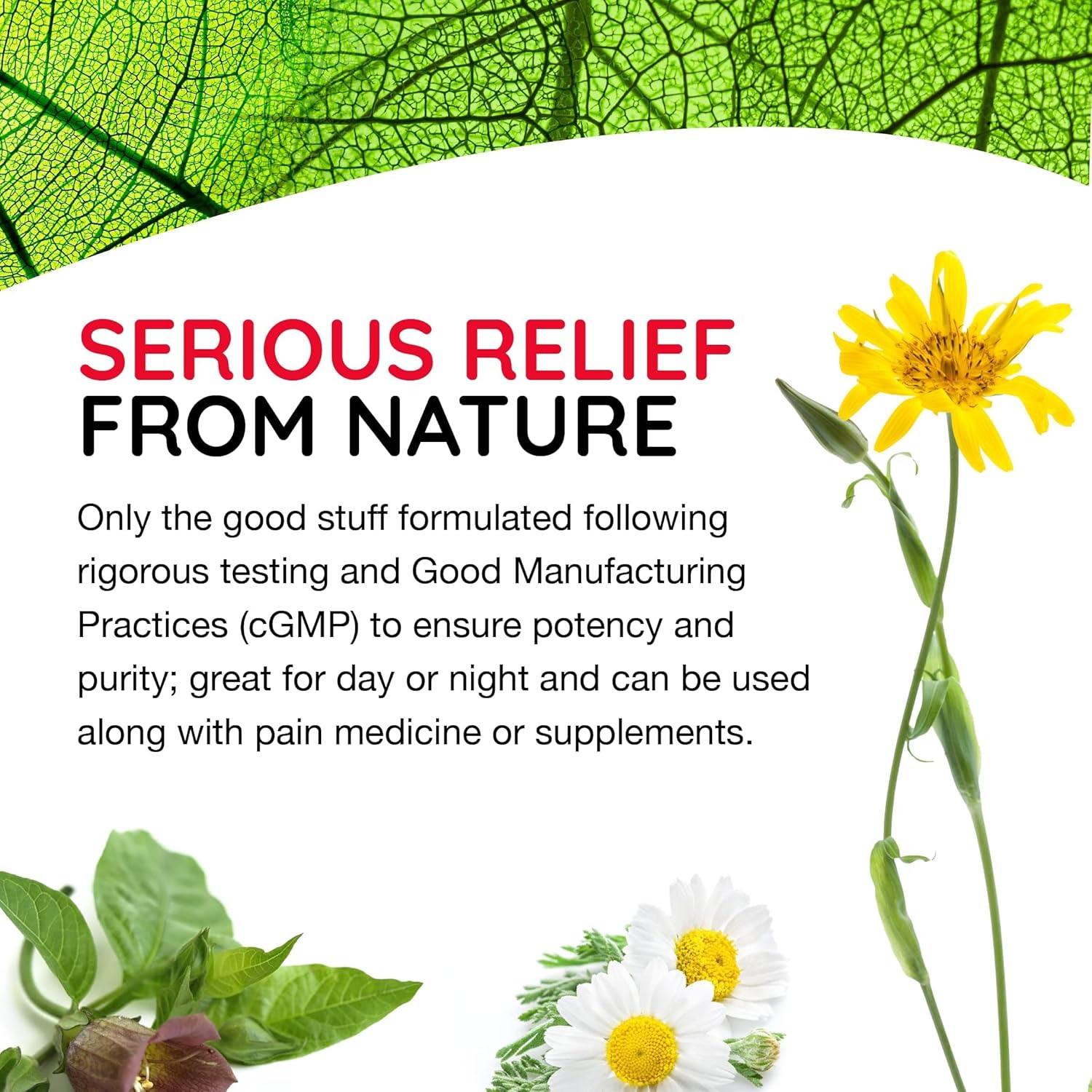 T-Relief Arnica +12 Natural Actives - Whole Body Fast-Acting Formula For Women & Men - 100 Tablets : Health & Household