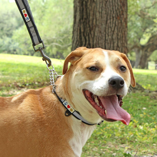 PAWTITAS Chain Martingale Dog Collar Puppy Collar Reflective Dog Collar Training Dog Collar Behavioral Dog Chain Collar Collar Medium Dog Collar Pink Dog Collar