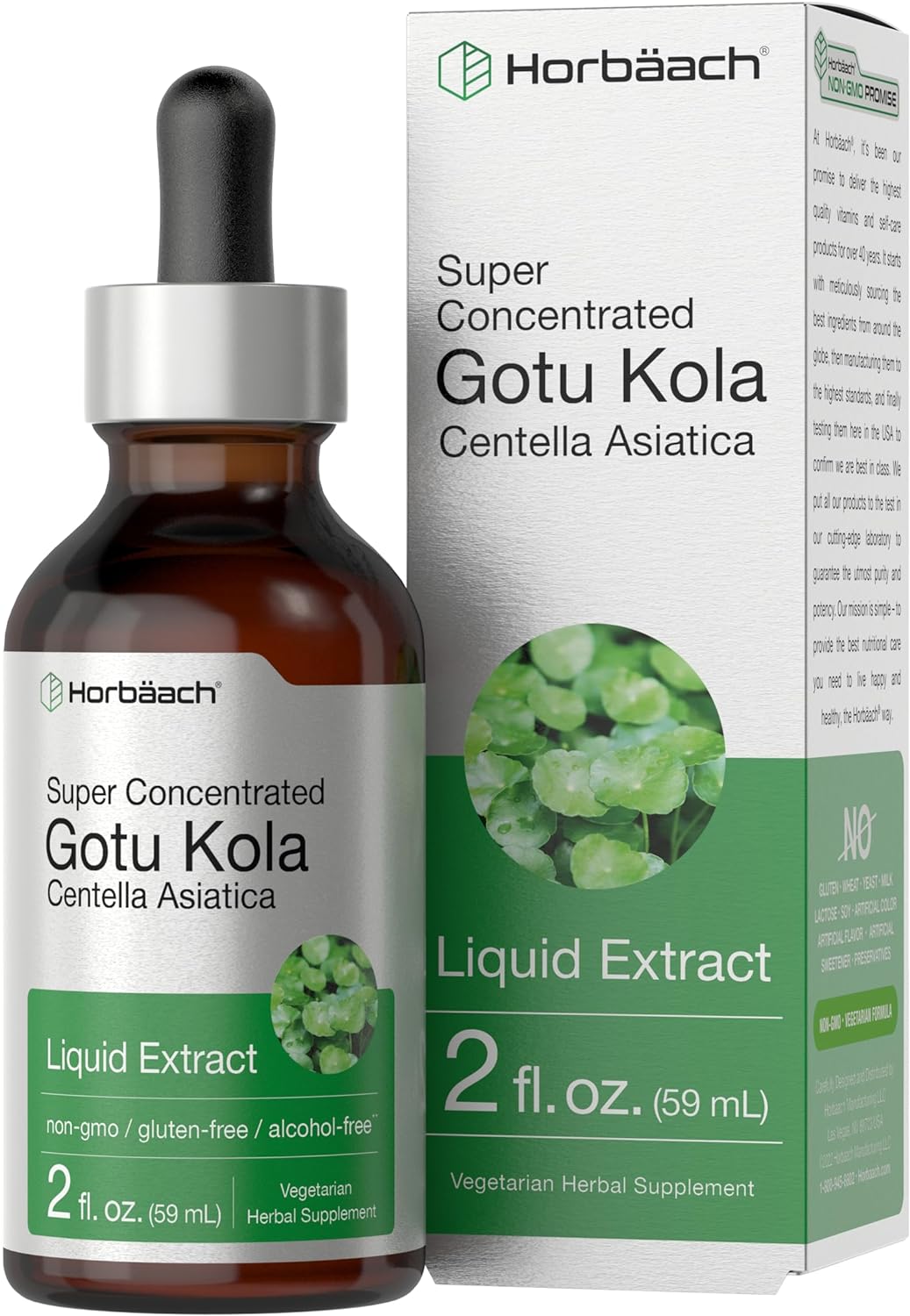 Horbach Gotu Kola Extract | 2 fl oz | Alcohol Free | Super Concentrated Liquid Herb Supplement | Vegetarian, Non-GMO, Gluten Free