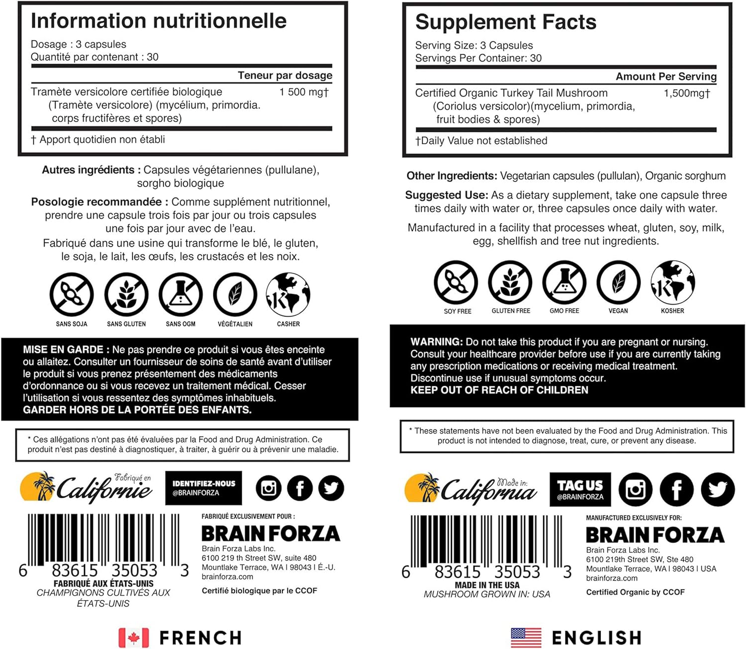 Brain Forza Organic Turkey Tail Mushroom Capsules, Mushroom Powdered Immune Support, Liver and Digest Health Support, Organic Defense Support, Non-GMO, Vegan, Organic, 90 Capsules : Health & Household