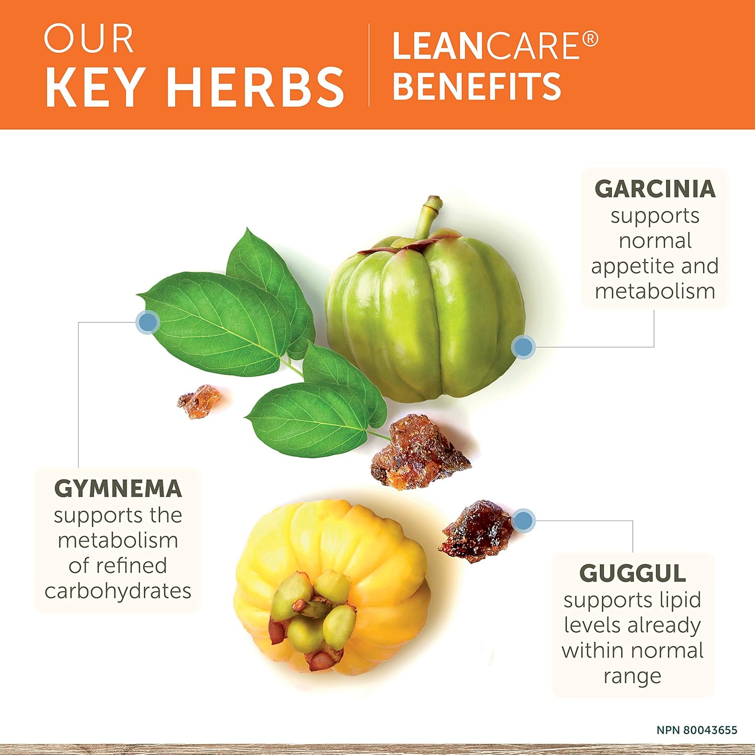 Himalaya Leancare With Garcinia Cambogia For Weight Management, 600 Mg, 1 Month Supply, 120 Caplets : Health & Household
