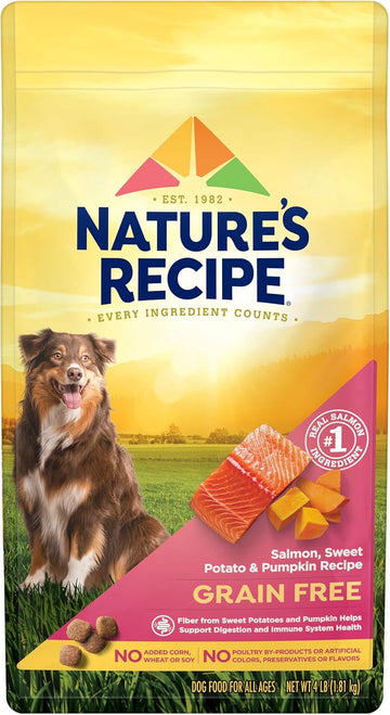 NatureS Recipe Grain Free Salmon, Sweet Potato & Pumpkin Recipe Dry Dog Food, 4 Lb. Bag