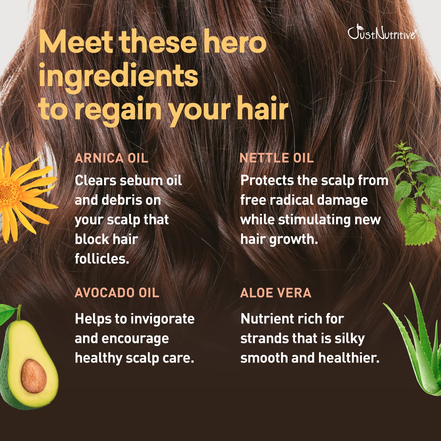 Hair Loss Therapy Shampoo & Conditioner | Hair Loss Products For Thinning Hair | Hair Growth Products For Men And Woman | Just Nutritive | 16 Oz : Beauty & Personal Care