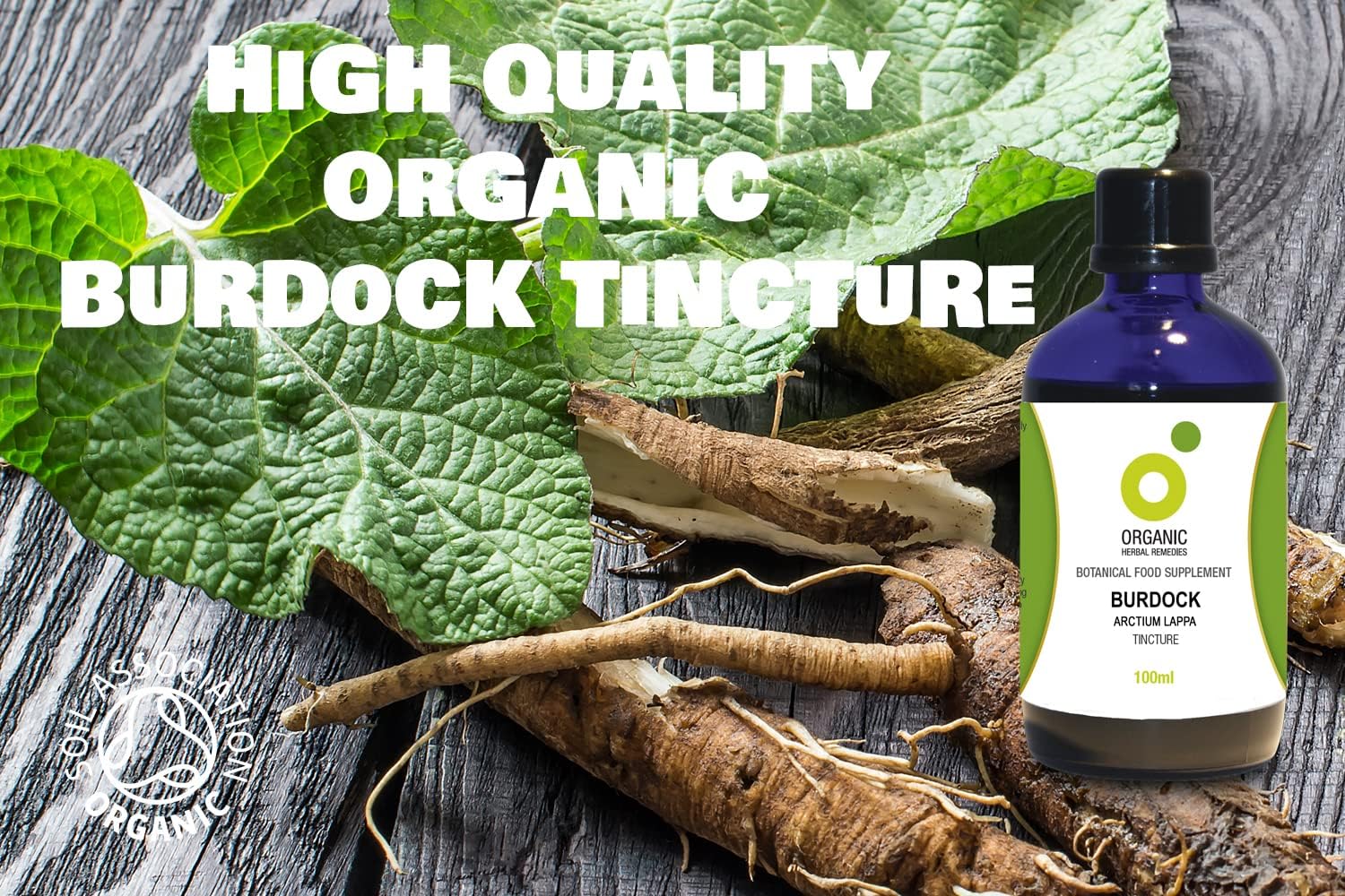 Organic Herbal Remedies 100 ml Burdock Tincture : Amazon.co.uk: Health & Personal Care