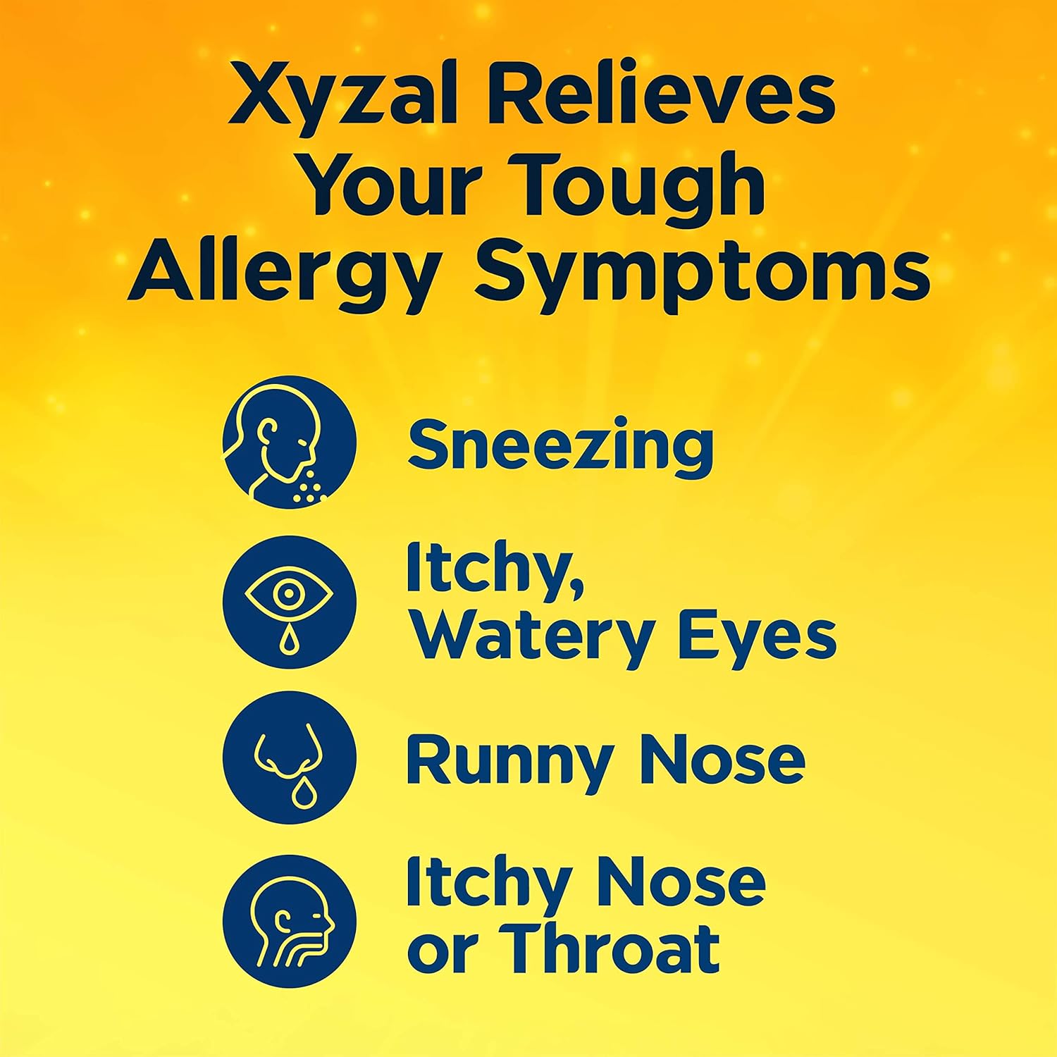 Xyzal Allergy Pills, 24-Hour Allergy Relief, 80-Count, Original Prescription Strength : Health & Household