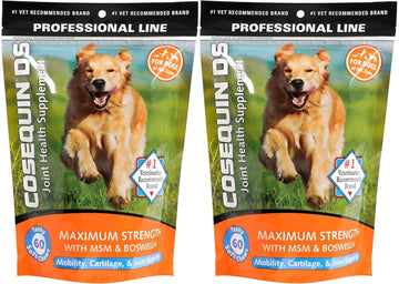 Nutramax Laboratories Cosequin Ds Plus Msm Professional Line For Dogs, 60 Soft Chews- Pack Of 2