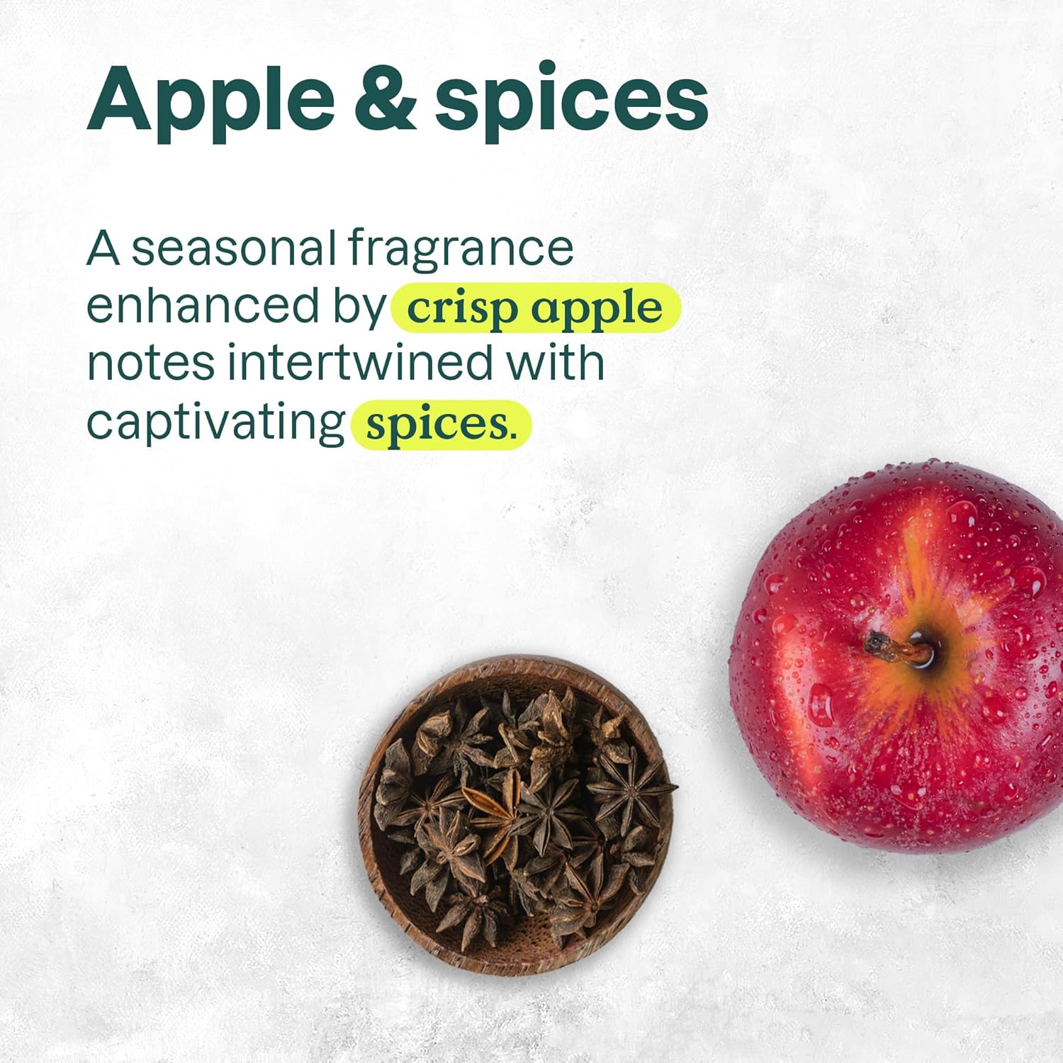 Attitude Liquid Hand Soap, Ewg Verified, Plant And Mineral-Based, Vegan Personal Care Products, Apple & Spices, 16 Fl Oz : Beauty & Personal Care