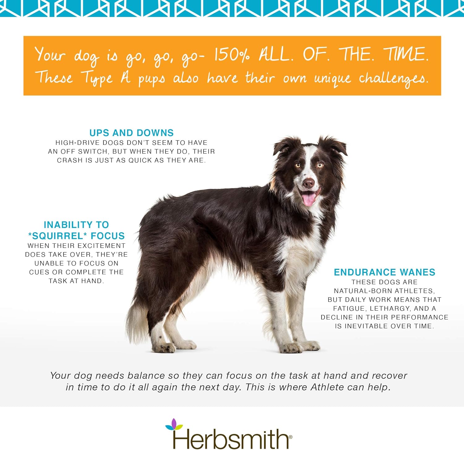 Herbsmith Athlete – Canine Endurance Supplement For Working And Agility Dogs – For The Canine Athlete – 150G Powder : Pet Herbal Supplements : Pet Supplies
