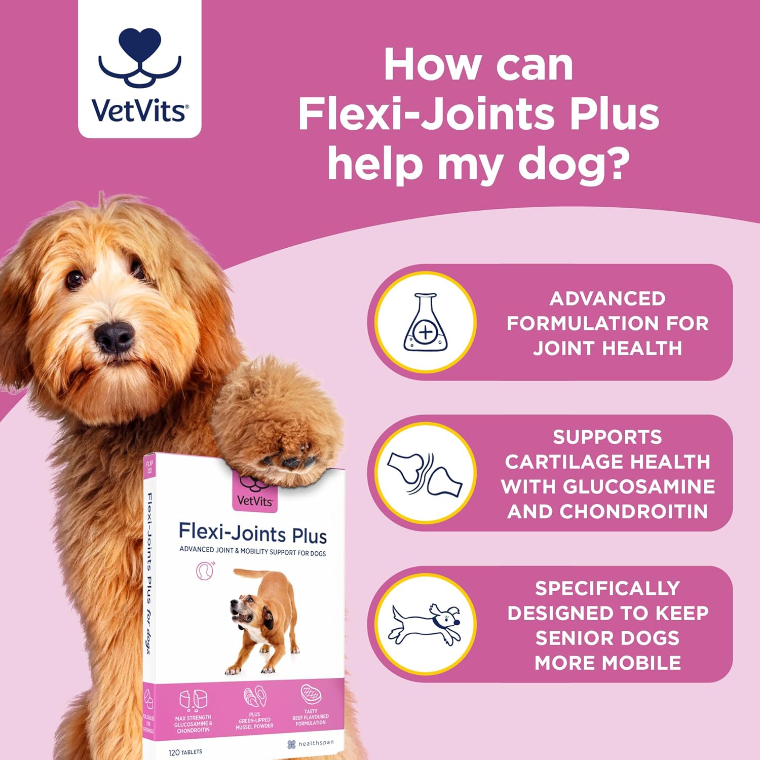 VetVits Flexi-Joints Plus For Dogs (120 Tablets) | 500mg Pure Glucosamine HCI Providing 40% More Glucosamine Than The Standard 2KCI Form | With Chondroitin | Beef Flavour : Amazon.co.uk: Pet Supplies
