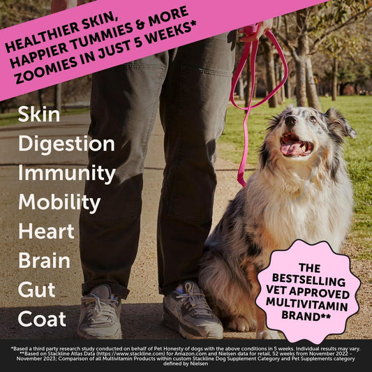 Pet Honesty Dog Multivitamin Max Strength - 15 In 1 Dog Vitamins For Health & Heart - Dog Essentials Fish Oil, Glucosamine, Probiotics, Omega Fish Oil - Dog Vitamins And Supplements For Skin And Coat
