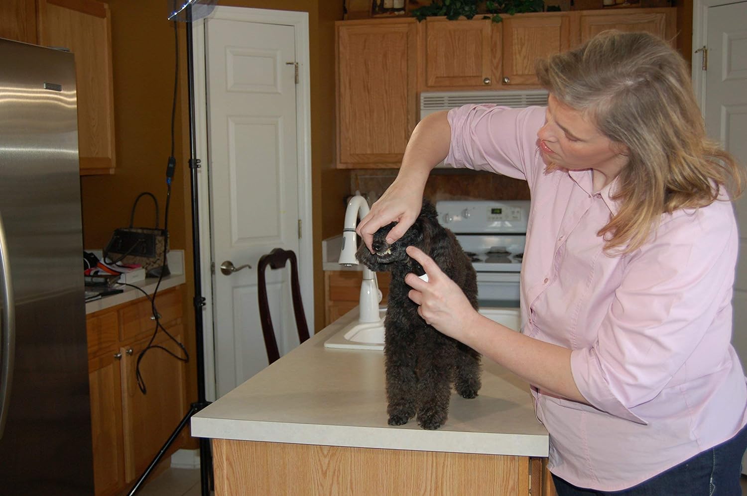 Plaque Attack Pet Dental Spray : Pet Supplies